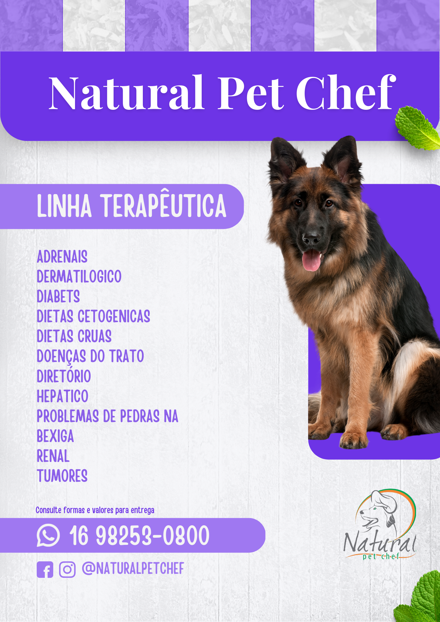 linha terapeutica linha terapeutica
