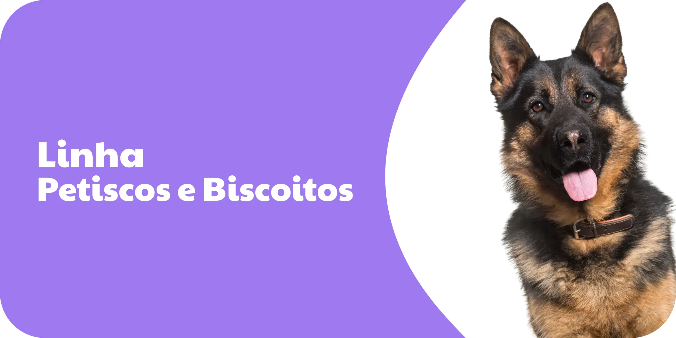 Destaque Linha Petiscos e Biscoitos